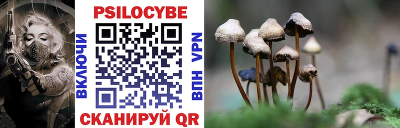 Псилоцибиновые грибы Psilocybine cubensis Купить где Елизаветинская